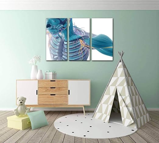 Amazon Com Cuadro Decorativo Para Decoracion Del Hogar Con 3