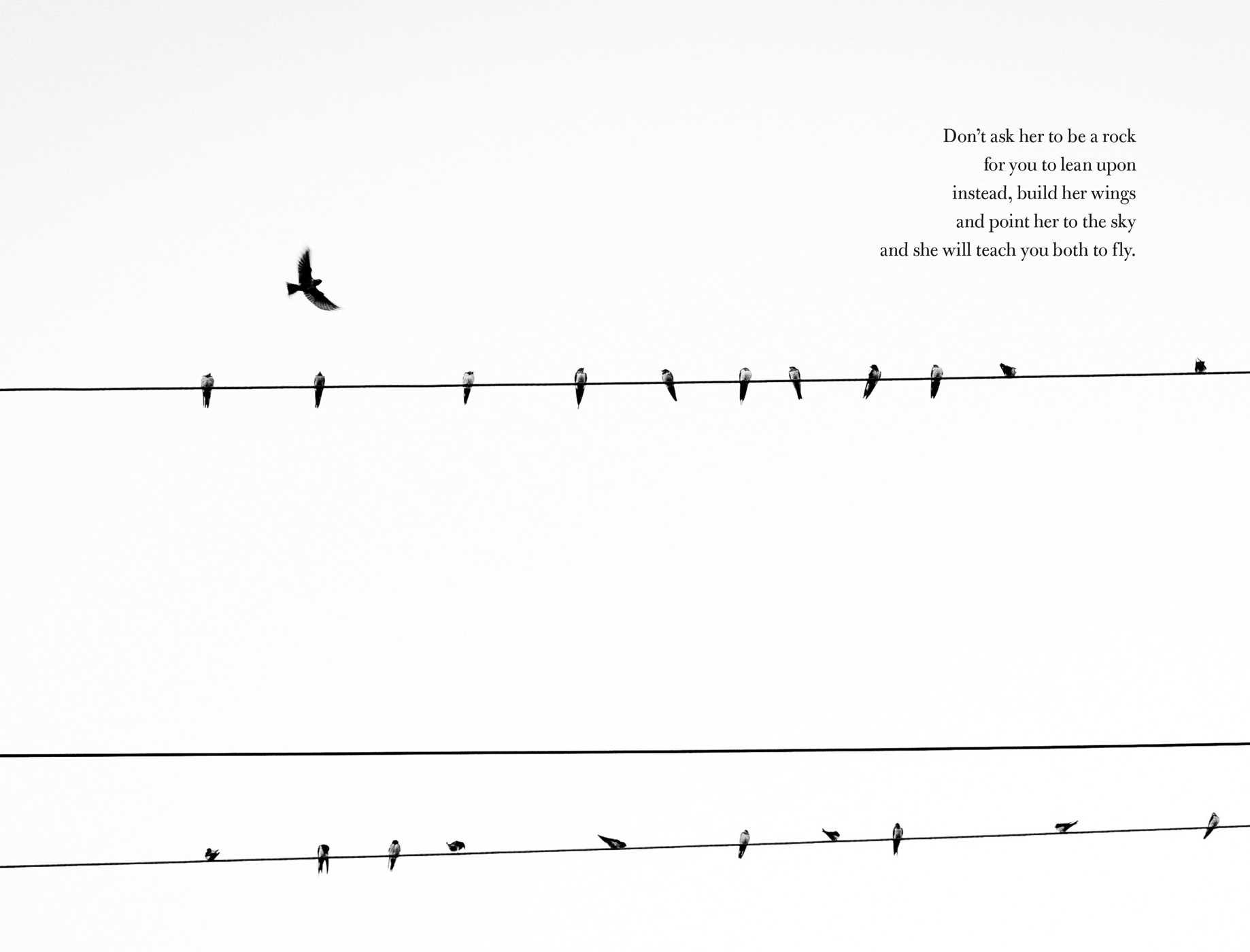 Love Her Wild Poems Atticus Amazon Com Books