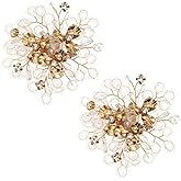 Xiwstar 2 Pcs Decorative Crystal Shoe Clips for Women Dress Shoes Pumps Boots Flats Heels Bridal Wedding Party DIY Floral Shoe Buckles Decoration for Women Girls