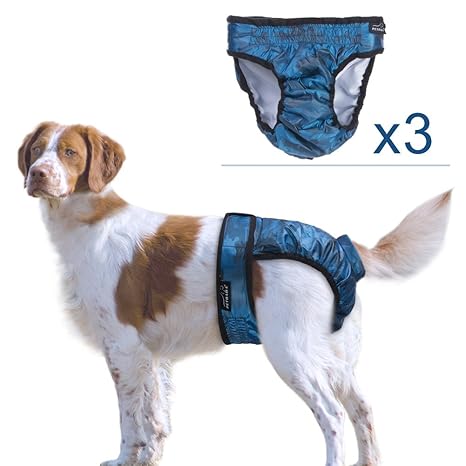 period nappies for dogs