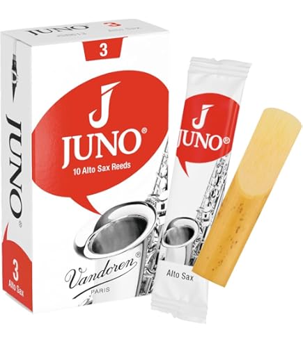 Rico Plasticover Bb - Lengüetas para clarinete, 5 unidades, Strength 2 Rico Plasticover Bb - Lengüetas para clarinete, 5 unidades, Strength 2