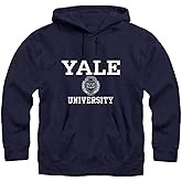 Ivysport Hoodie Sweatshirt, Unisex, Premium Cotton, Classic Arch with University Crest Logo