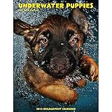 Underwater Puppies 2015 Weekly Engagement Calendar