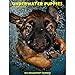 Underwater Puppies 2015 Weekly Engagement Calendar