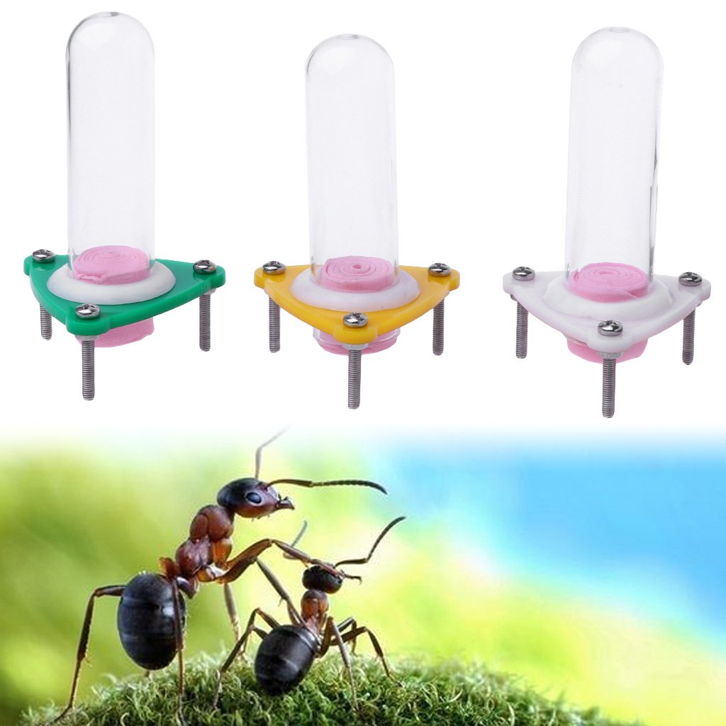 Nido Per Formiche In Acrilico E Vetro - Alimentatore Per Colonie, Fattoria Delle Formiche Per Osservazione Scientifica - Foto 9