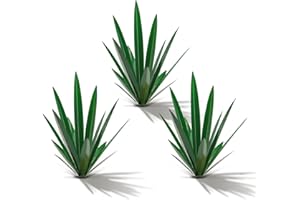 Homight Metal Tequila Country Sculpture DIY Tequila Plant Home Decor Country Tequila Garden Ornament Indooutdoor Statuette Patio Lawn Patio Stake Decoration Gift to The Garden…