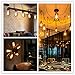 INNOCCY Edison Light Bulb , 60W E26 E27 Vintage Bulb Dimmable ST64 Antique Squirrel Cage Light , 2300K , 240 Lumens , Pack Of 12