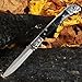Grand Way Folding Pocket Knife - Folding Navaja Knife - EDC and Outdoor Large Fold Knives Classic Stainless Steel Blade with Plastic Handle - Best Pocket Knife for Urban and Hiking FB 806 B