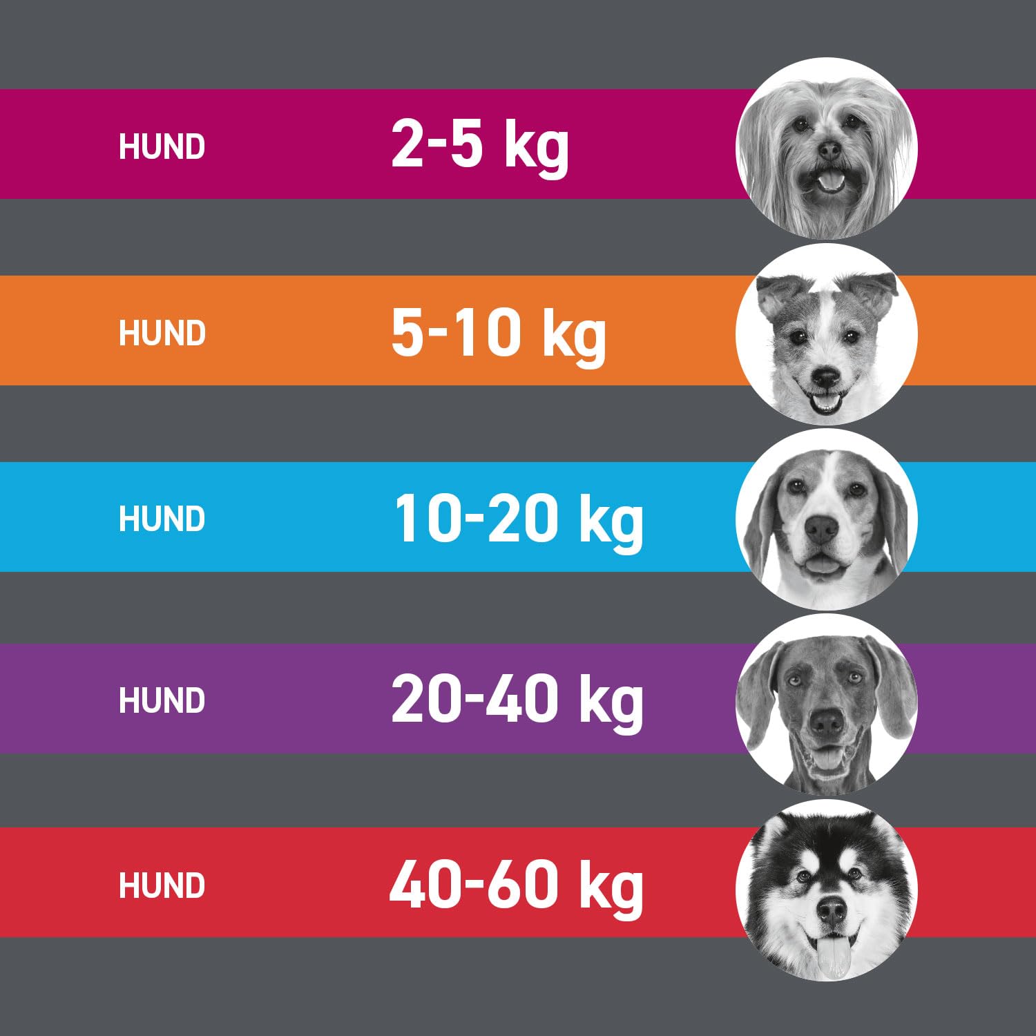 FRONTLINE TRI-ACT Hund L gegen Zecken, Flöhe & Mücken (große Hunde 20 bis 40 kg) - 3X Pipetten für bis zu 3 Monate Schutz - wasserfest - perfekt auf Reisen 9