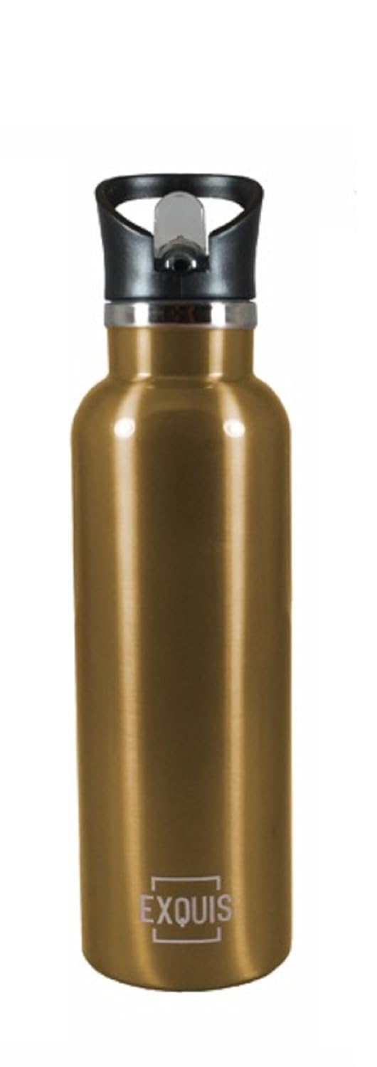 exquis double wall stainless steel bottle