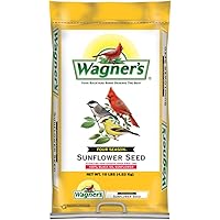 Wagner's 76025 Four Season Black Oil Sunflower Seed Wild Bird Food, 10-Pound Bag