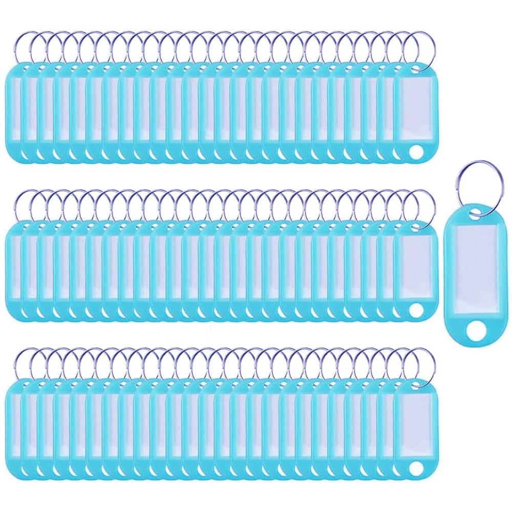 SagaSave Key Tags 100 Pieces Keyring Tags Key Labels Plastic Key Fobs Id Tags Key Rings Name Tags Luggage Id Labels with Labels Split Ring Keyring (Light Blue)