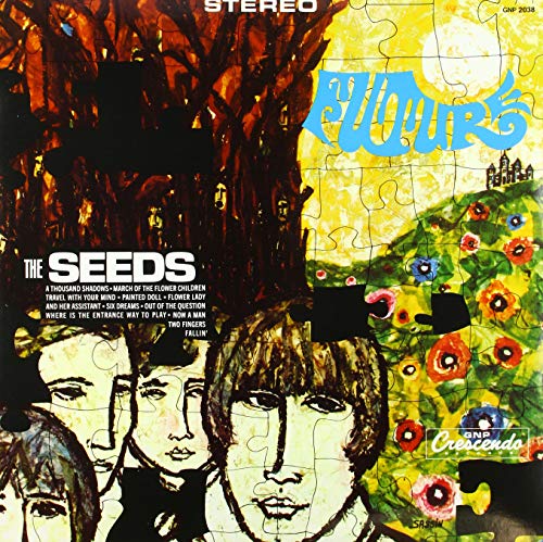 Album Art for Future by The Seeds
