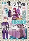 転生悪役令嬢は見せかけドS王子をお仕置きしたい 第3巻