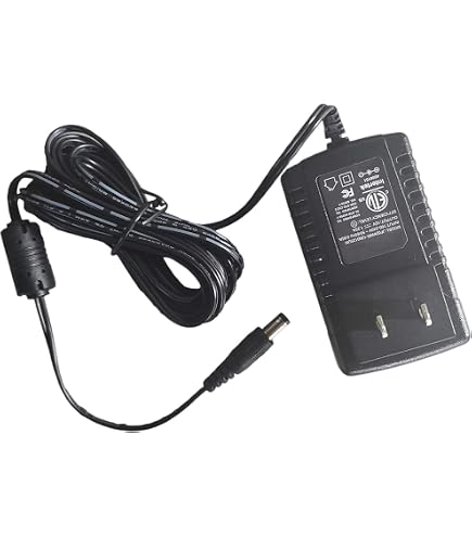 Alimentatore caricabatterie adattatore AC per scala CAS YS21 S2000JR EB
