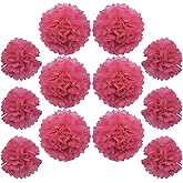 Ruidee 12 Pieces Tissue Paper Pompoms 10in and 12in Hanging Tissue Flowers Decorations Colour Paper Flower Ball for Party Wedding Decoration (ZH/Rose)