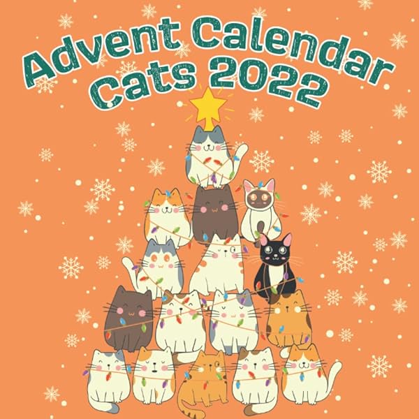 Advent Calendar Cats 2022: The calendar 2022 with fun facts for cat lovers:  Mirillia, Mia: 9798358114104: Amazon.com: Books