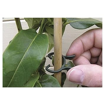 Kuou 100 Clips de Jardín Plantas, Clip de Soporte de Tallo para ...