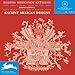 Ancient Mexican Designs/ Disenos Mexicanos Antiguos (English and Spanish Edition) by 