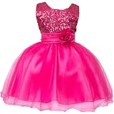 Robe Baptême Bébé Fille IBTOM - Tutu Tulle Brodée Avec Nœud Papillon Pour Cérémonie