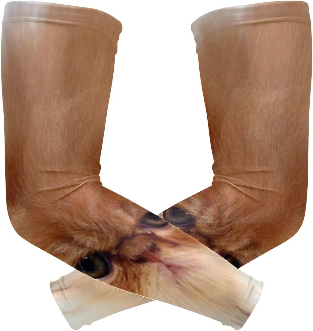 Which Is The Best Desoto Arm Cooling Sleeves