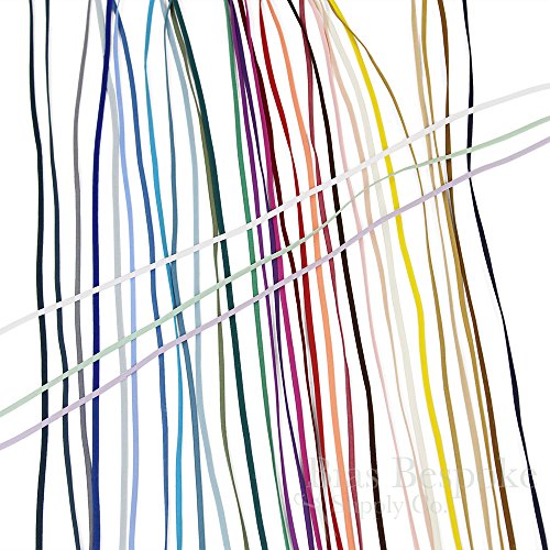 12 Yards of LEO 4mm Oval Elastic for Bra Straps or Lacing, Passion Flower Purple, Made in Italy