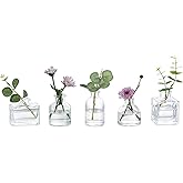 Glasseam Mini Glass Bud Vases: Small Clear Vases for Centerpieces Cute Tiny Flower Vase Set of 5 for Flowers Modern Centerpiece Decor for Wedding Party Dining Room Decoration