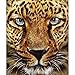 DIY 5D Diamond Painting by Number Kits, Full Drill Crystal Rhinestone Embroidery Pictures Arts Craft for Home Wall Decor Gift,Leopard Tiger