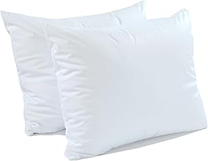 CALM NITE Pillow Protector 2 Pack - Extra Soft Knit - Waterproof Zippered Hypoallergenic Case, Blocks Bed Bugs and Dust Mites (Queen 2 Pack)
