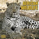 African Wildlife 2012 Wall Calendar #30100-12 by 