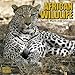 African Wildlife 2012 Wall Calendar #30100-12 by 