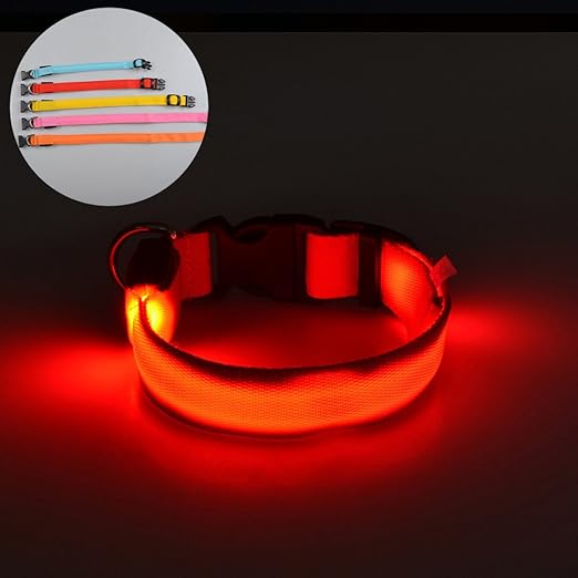 Carole4 Sicherheit LED Hundehalsband, Verstellbar LEDBlinklicht