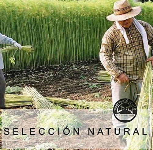 SABOREATE Y CAFE THE FLAVOUR SHOP Saboreateycafe Pack de 4 Sacos ...