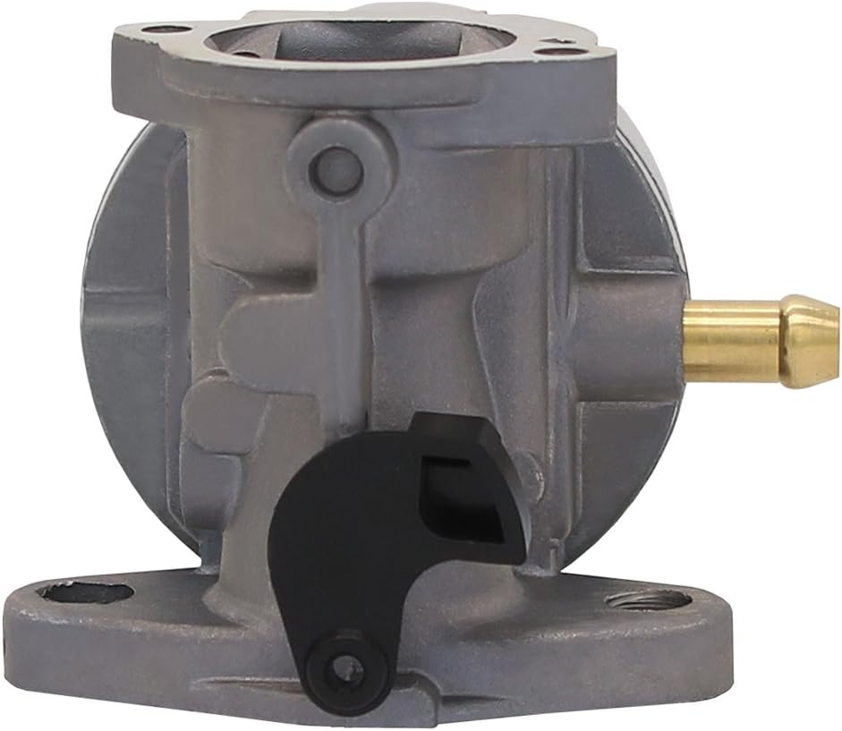 799868 Carburetor for Briggs & Stratton 694202 693909 692648 499617 498170 497586 498254 497314 497347 497410 799872 790821 498255 498966 698444 Carburetor - Carburetor for Briggs & Stratton 14111 : Garden & Outdoor