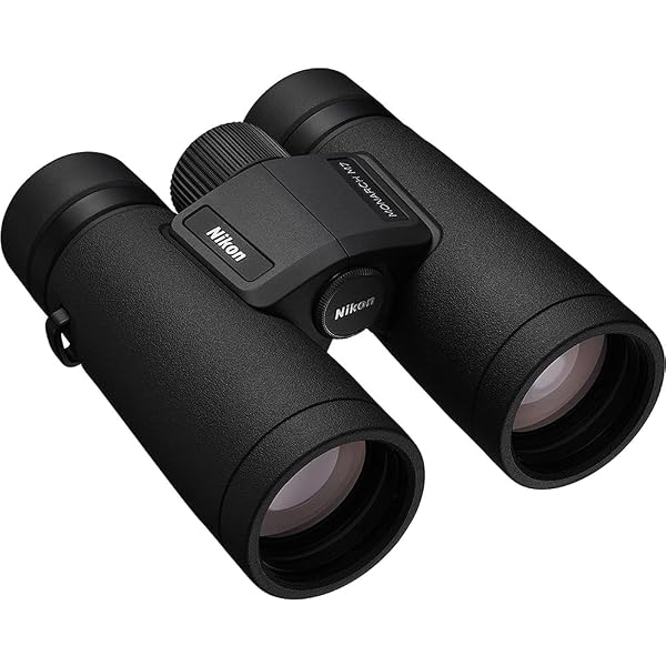Amazon.com : Nikon 16768Q Monarch M5 10x42 Binocular with 10x 