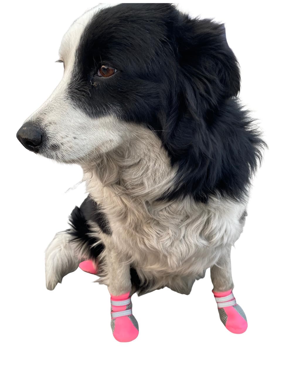 LONSUNEER Puppy Soft Sole Nonslip Mesh Boots 2 Reflective Straps Breathable Set of 4 (Small, Pink)