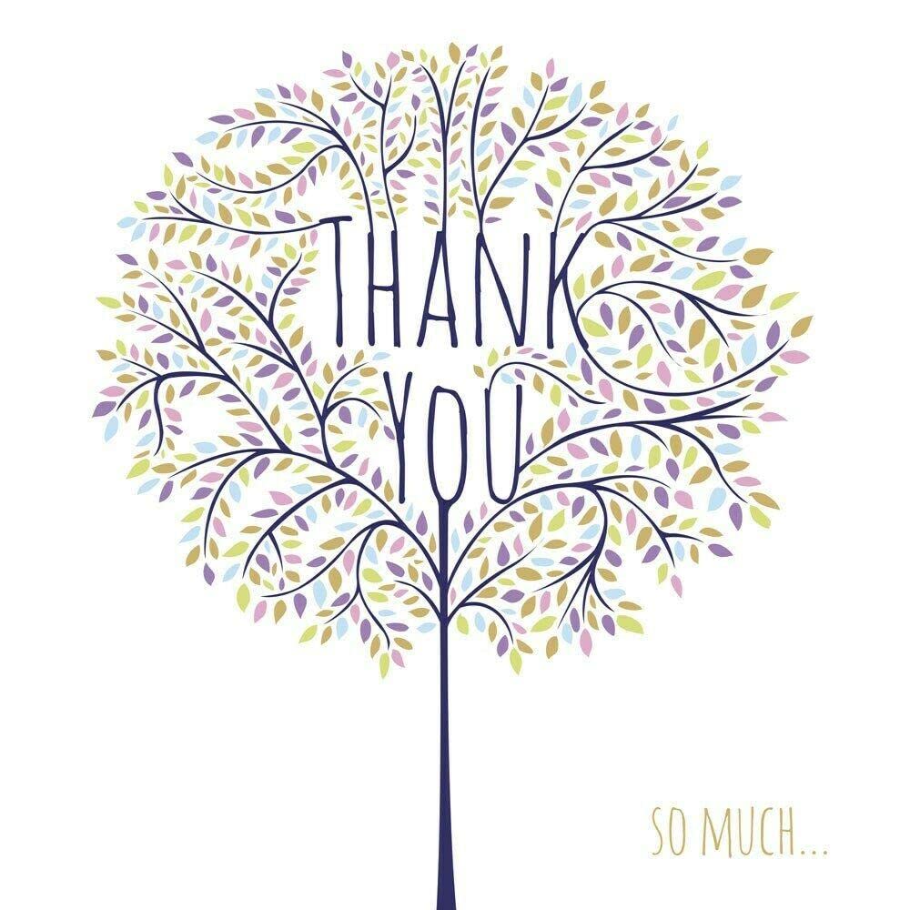 Thank You So Much... Pear Tree - Tracks Publishing Greeting Pack of 5 Cards with Envelopes - TYP095