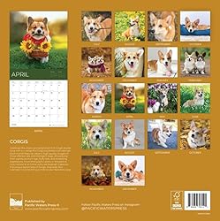 July 2025- December 2026 Wall Calendar 18 Month