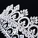 FUMUD Women's Luxury Crystal Tiara Shining Rhinestone Crown for Pageant Wedding Bridal Beauty Contest Prom Party (Full Crown)