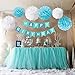Wartoon Happy Birthday Banner Bunting Kit, Paper Pom Poms flowers Ball with Hanging Party Decorations Banner flags for Birthday Party Decorations (Blue1)