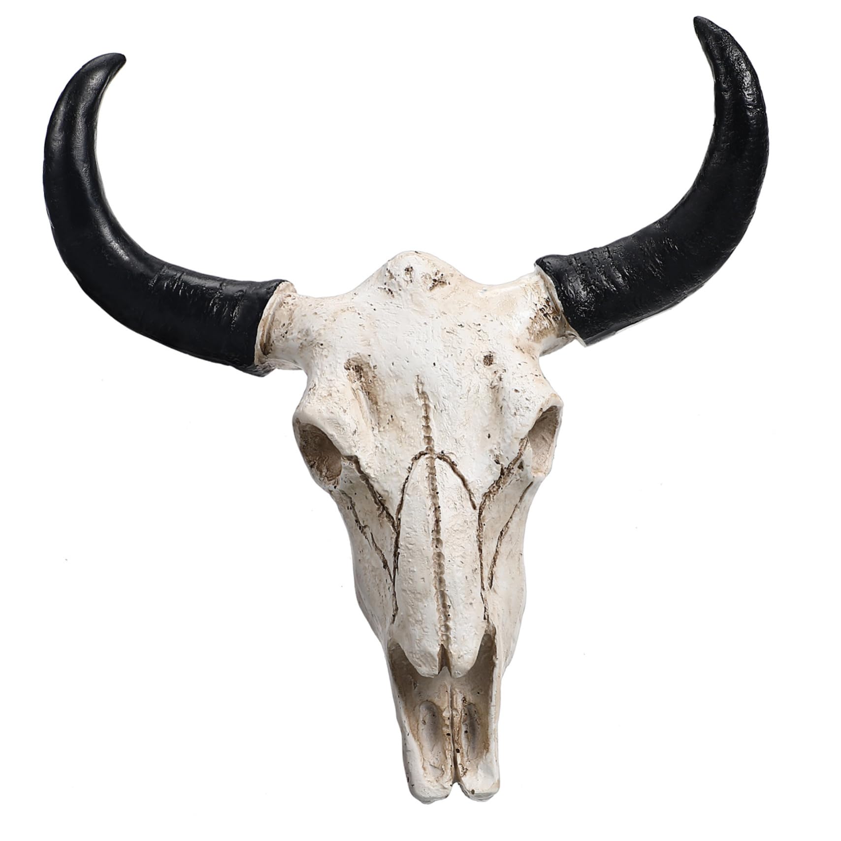 Homoyoyo Long Horn Cow Skull Resin Wall Hanging Horn Skulls Steer Bull Head Sculpture Halloween Animal Skull Steer for Art Crafts Ornaments Home Wall