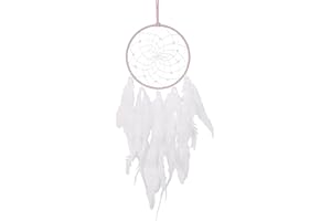 DUQGUHO Dream Catcher Wall Decor Boho Hanging Ornament for Women Room Handmade Traditional Circular Net White Feather Dreamcatchers Home Decoration
