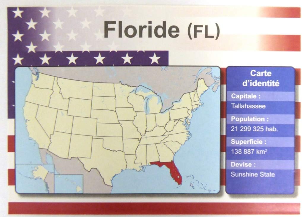 OPO 10 - Set of 5 metal USA car LICENSE PLATES - replicas of real FLORIDA USA license plates - Image 3