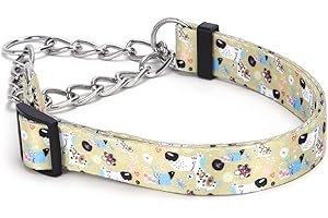 Pimaodog Martingale Dog Collar with Stainless Steel Chain - Limited Chain Cinch Training Collar for No Pull Training Dog - Flower Multicolor Cute Patterns - Premium No Slip Collar (HA12NO14, M)