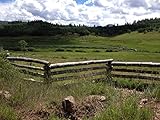 Sacred Homestead: Though hast made thy children mighty by the touch of the mountain sod. by 
