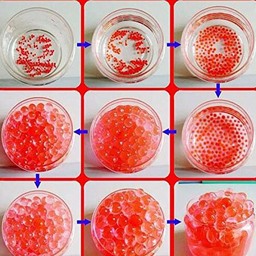 4 Crystal+Growing+Wedding+Casamento+Fillers