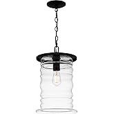 Quoizel Noland 1-Light Matte Black Outdoor Hanging Lantern