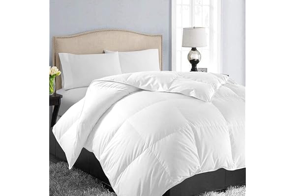 EASELAND Comforter Queen Size - All Season Down Alternative Duvet Insert, Ultra Soft Quilted Comforter with Corner Tabs, Hote