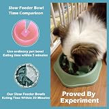 CAISHOW Slow Feeder Dog Bowl Small Medium Dogs Anti Gulping Non Slip view 3