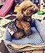 Kailian Dog Cowboy Dress Lovely Cute Dog Doggie Puppy Summer Clothes Dog Denim Skirt Medium
